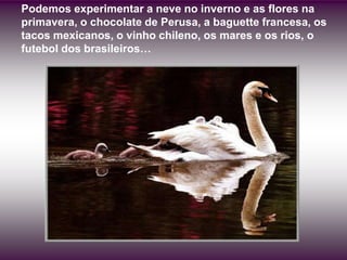 Podemos experimentar a neve no inverno e as flores na
primavera, o chocolate de Perusa, a baguette francesa, os
tacos mexicanos, o vinho chileno, os mares e os rios, o
futebol dos brasileiros…
 