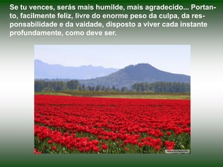 Se tu vences, serás mais humilde, mais agradecido... Portan-
to, facilmente feliz, livre do enorme peso da culpa, da res-
ponsabilidade e da vaidade, disposto a viver cada instante
profundamente, como deve ser.
 
