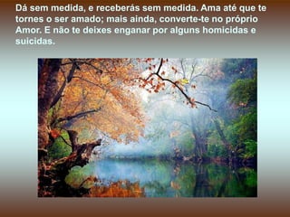 Dá sem medida, e receberás sem medida. Ama até que te
tornes o ser amado; mais ainda, converte-te no próprio
Amor. E não te deixes enganar por alguns homicidas e
suicidas.
 