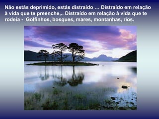 Não estás deprimido, estás distraído … Distraído em relação
à vida que te preenche,.. Distraído em relação à vida que te
rodeia - Golfinhos, bosques, mares, montanhas, rios.
 