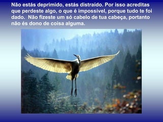 Não estás deprimido, estás distraído. Por isso acreditas
que perdeste algo, o que é impossível, porque tudo te foi
dado. Não fizeste um só cabelo de tua cabeça, portanto
não és dono de coisa alguma.
 
