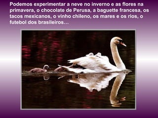 Podemos experimentar a neve no inverno e as flores na 
primavera, o chocolate de Perusa, a baguette francesa, os 
tacos mexicanos, o vinho chileno, os mares e os rios, o 
futebol dos brasileiros… 
 