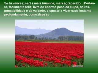 Se tu vences, serás mais humilde, mais agradecido... Portan-to, 
facilmente feliz, livre do enorme peso da culpa, da res-ponsabilidade 
e da vaidade, disposto a viver cada instante 
profundamente, como deve ser. 
 