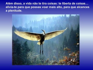 Além disso, a vida não te tira coisas: te liberta de coisas… alivia-te para que possas voar mais alto, para que alcances a plenitude.  