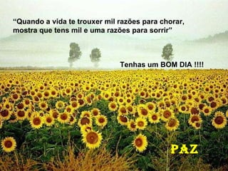 Tenhas um BOM DIA !!!!   PAZ “ Quando a vida te trouxer mil razões para chorar, mostra que tens mil e uma razões para sorrir” Tenhas um BOM DIA !!!!   PAZ 