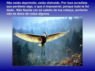 Não estás deprimido, estás distraído. Por isso acreditas que perdeste algo, o que é impossível, porque tudo te foi dado.  Não fizeste um só cabelo de tua cabeça, portanto não és dono de coisa alguma.   