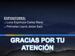 EXPOSITORES:
 Luna Espinoza Carlos Rene

 Peñuelas Leyva Jesús Saúl




    GRACIAS POR TU
      ATENCIÓN
 
