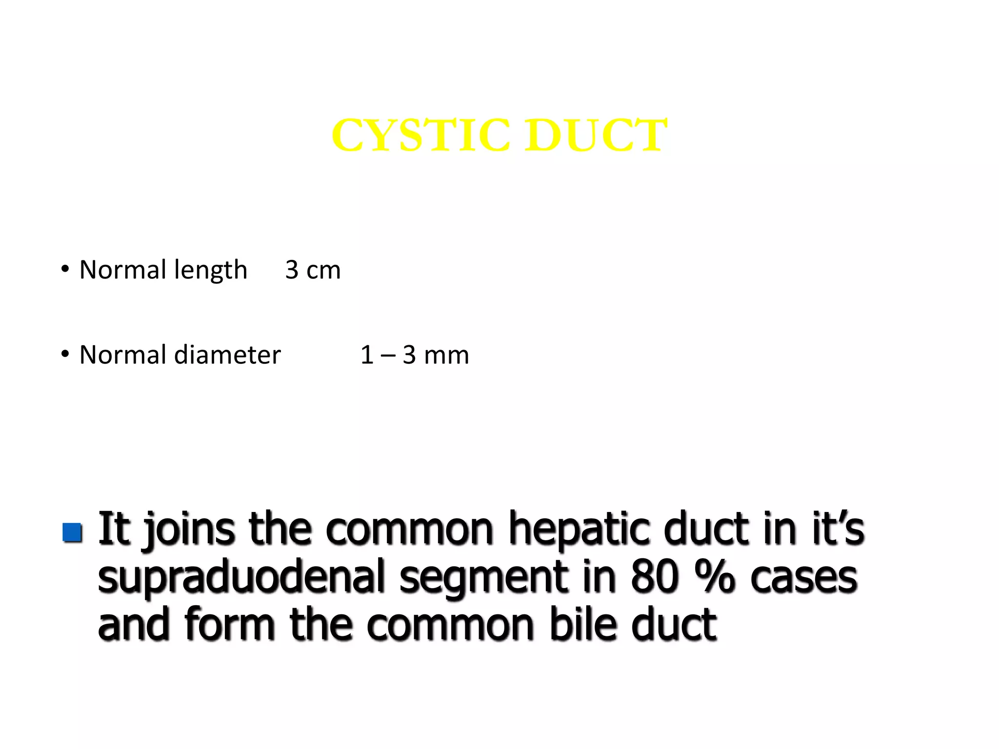• Normal length 3 cm
• Normal diameter 1 – 3 mm
CYSTIC DUCT
 It joins the common hepatic duct in it’s
supraduodenal segment in 80 % cases
and form the common bile duct
 