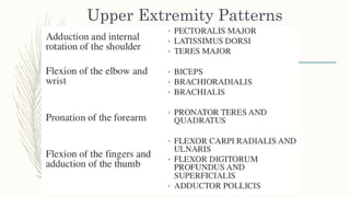 Ue Extensor Spasticity Positioning CME on Management of Spasticity and Functional Implications | PPTX