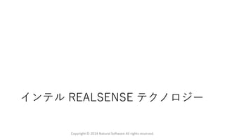 インテル REALSENSE テクノロジー
Copyright © 2014 Natural Software All rights reserved.
 
