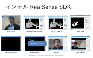 インテル RealSense SDK
Color Stream Hand and Finger Tracking Gesture and Pose Depth Mask
Speech Recognition Voice Synthesis
"Nothing to say?"
Facial AnalysisEmotion
Copyright © 2014 Natural Software All rights reserved.
 