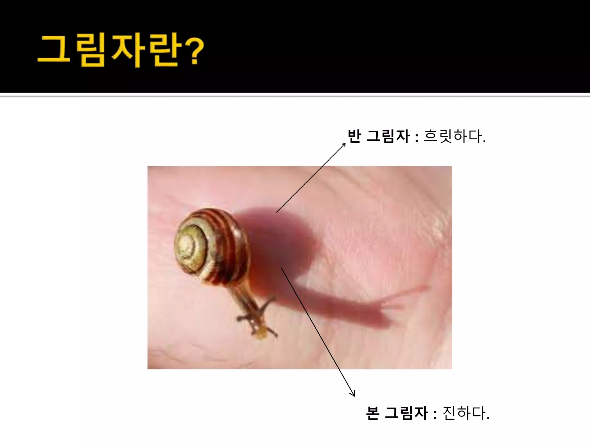 반 그림자 : 흐릿하다.
본 그림자 : 진하다.
 
