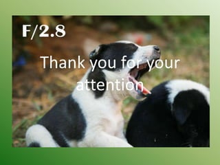 Thank you for your attention