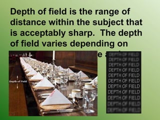 Depth of field is the range of distance within the subject that is acceptably sharp.  The depth of field varies depending on camera type, aperture and focusing distance.