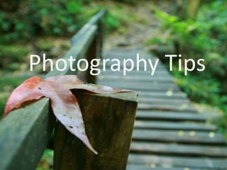 Photography Tips -Depth of field- 