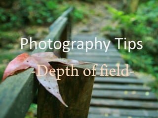 Photography Tips
 -Depth of field-
 