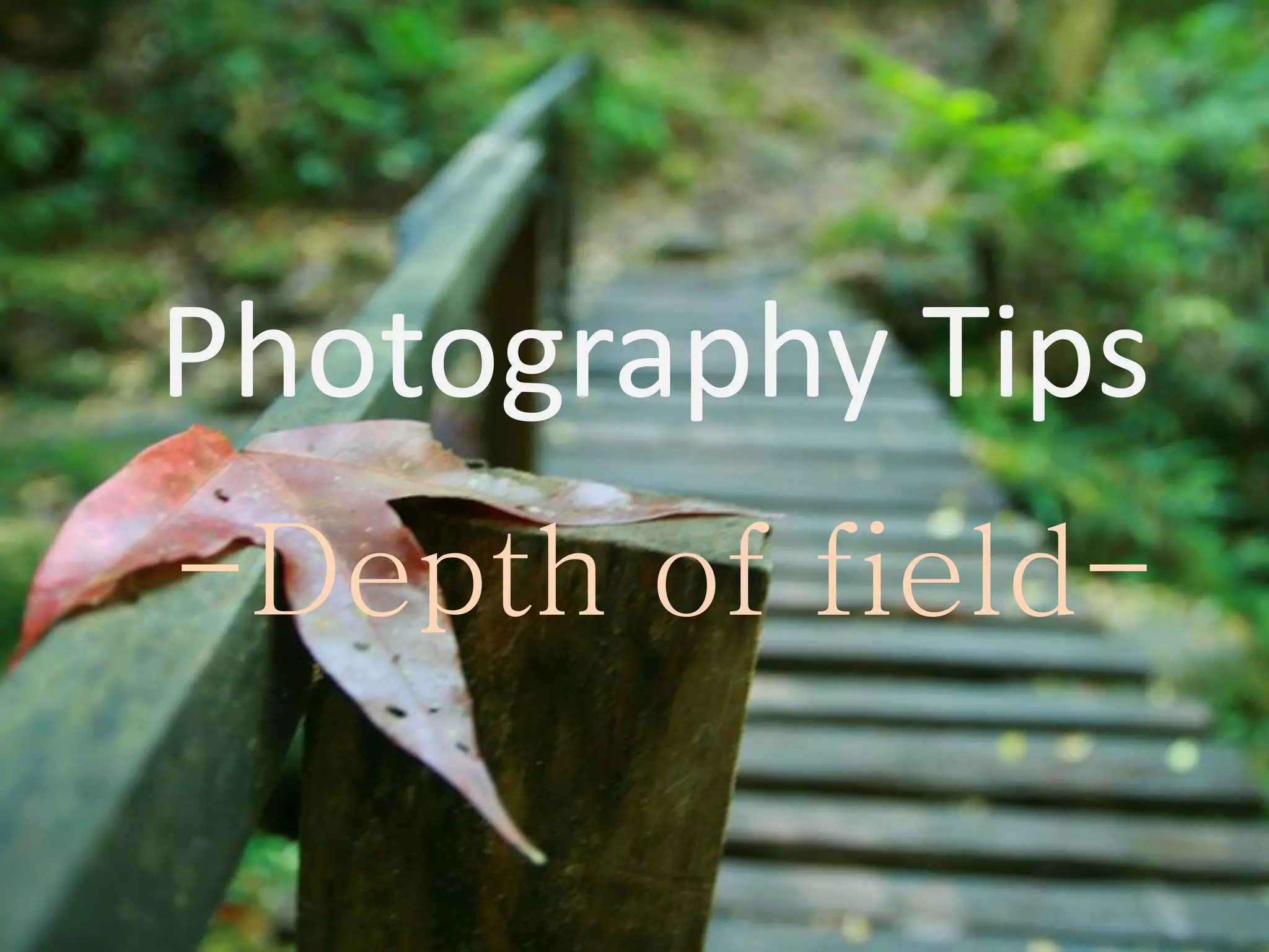 Photography Tips
-Depth of field-