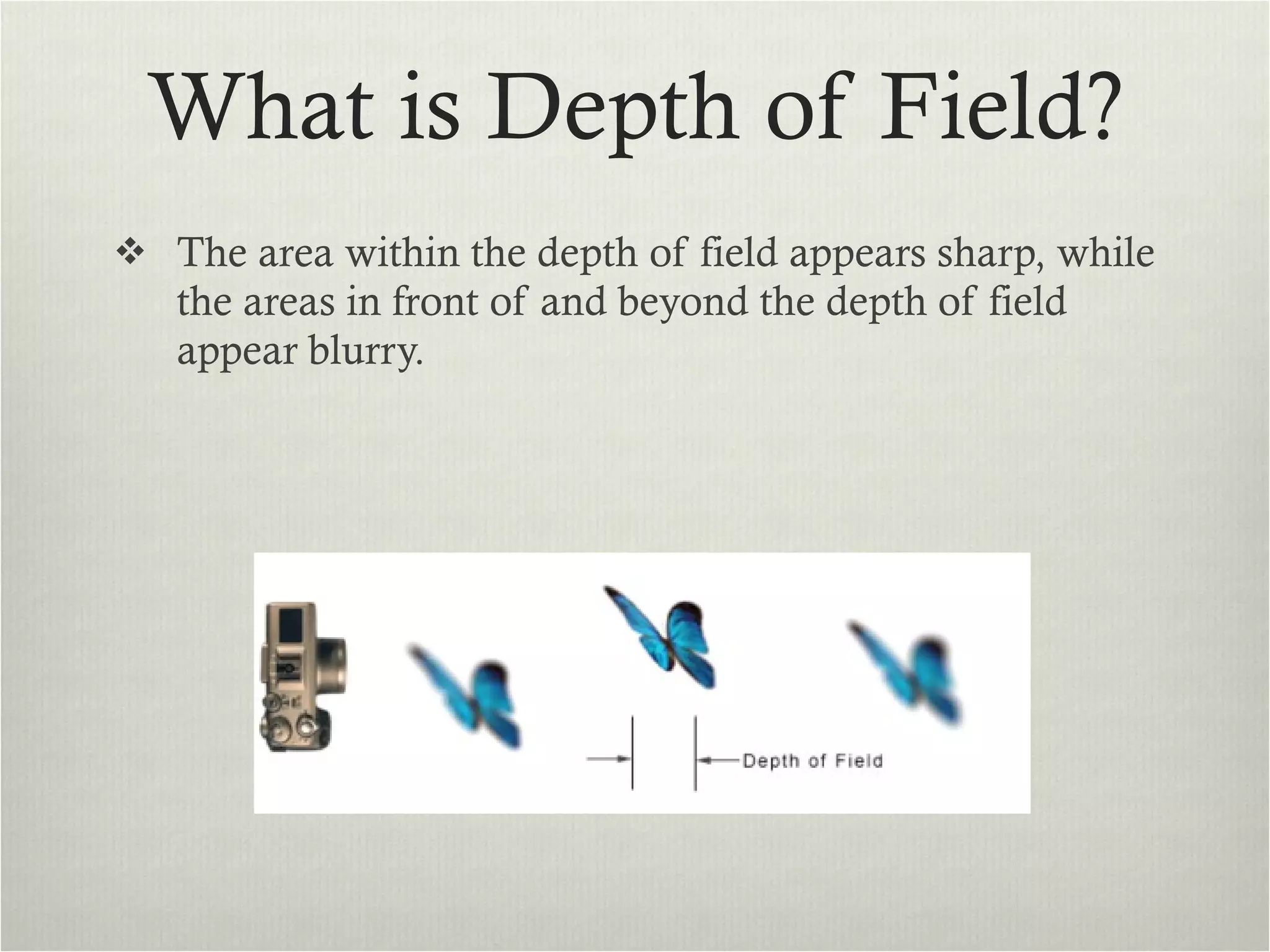 What is Depth of Field? The area within the depth of field appears sharp, while the areas in front of and beyond the depth of field appear blurry. 