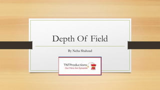 Depth Of Field
By Neha Shahzad
 