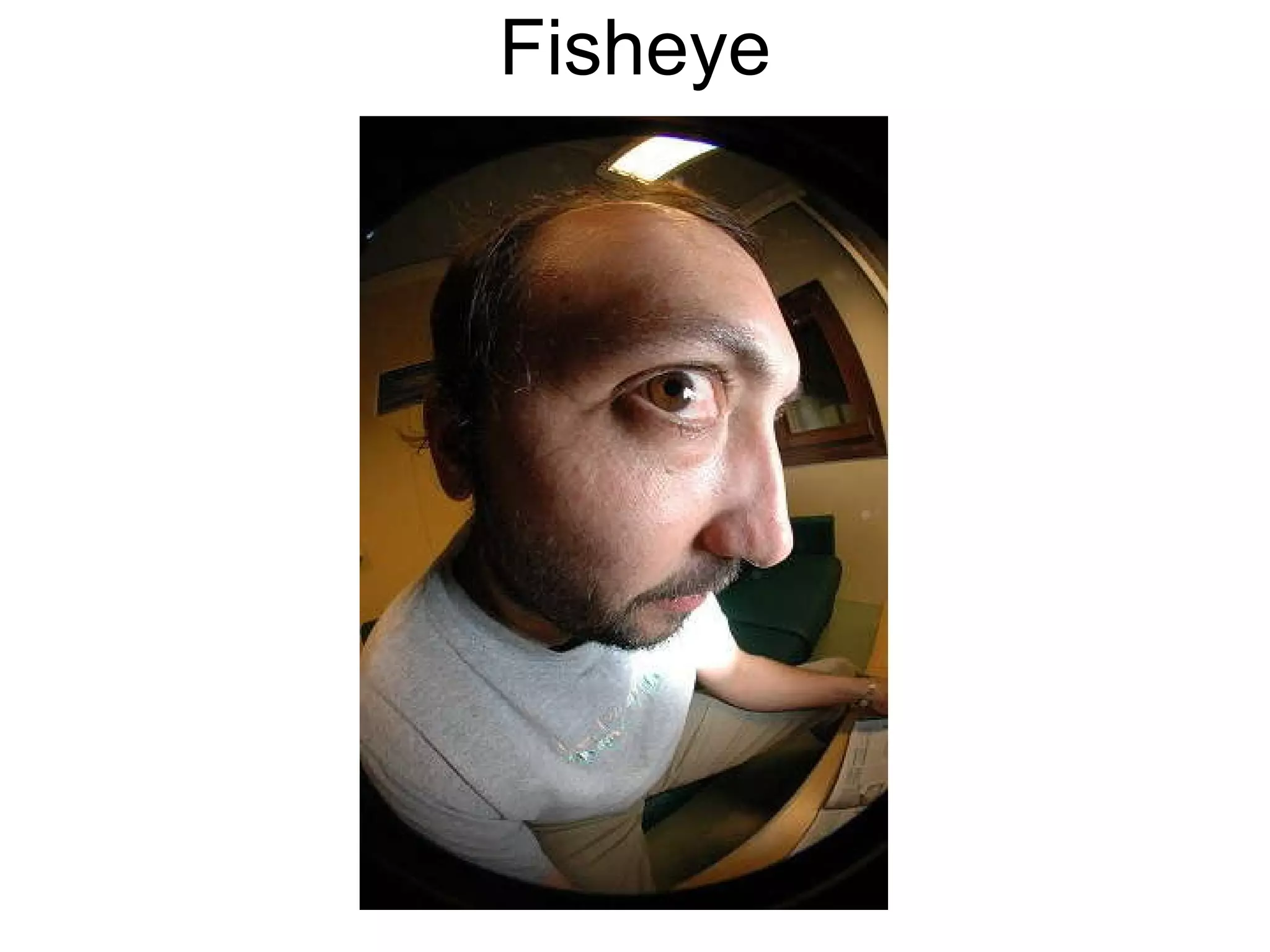 Fisheye 
