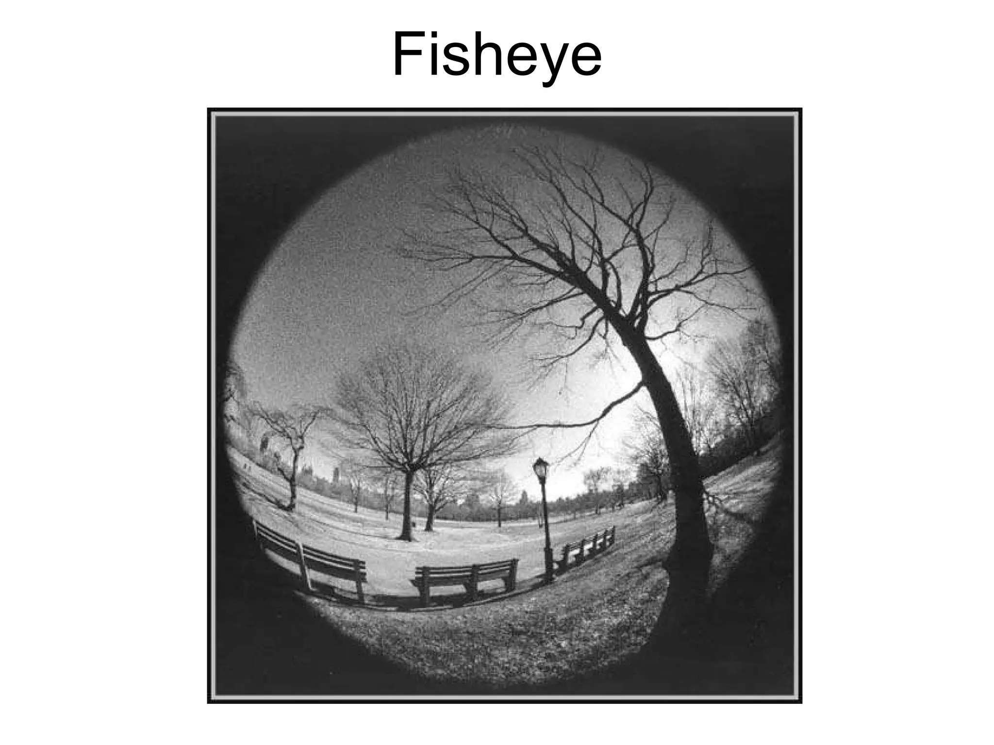 Fisheye 