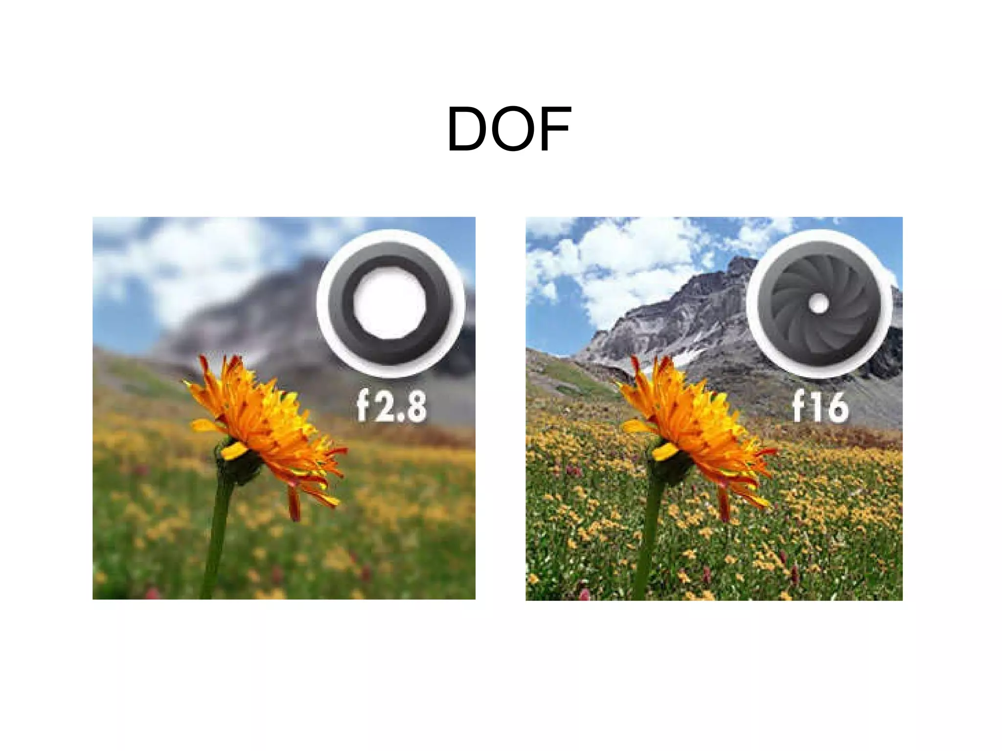 DOF 