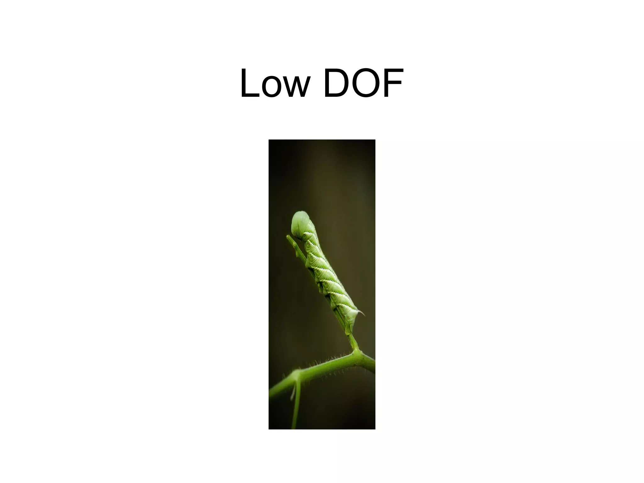 Low DOF 
