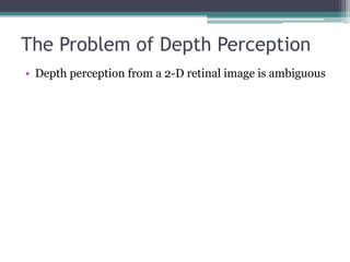 Depth & space | PPTX
