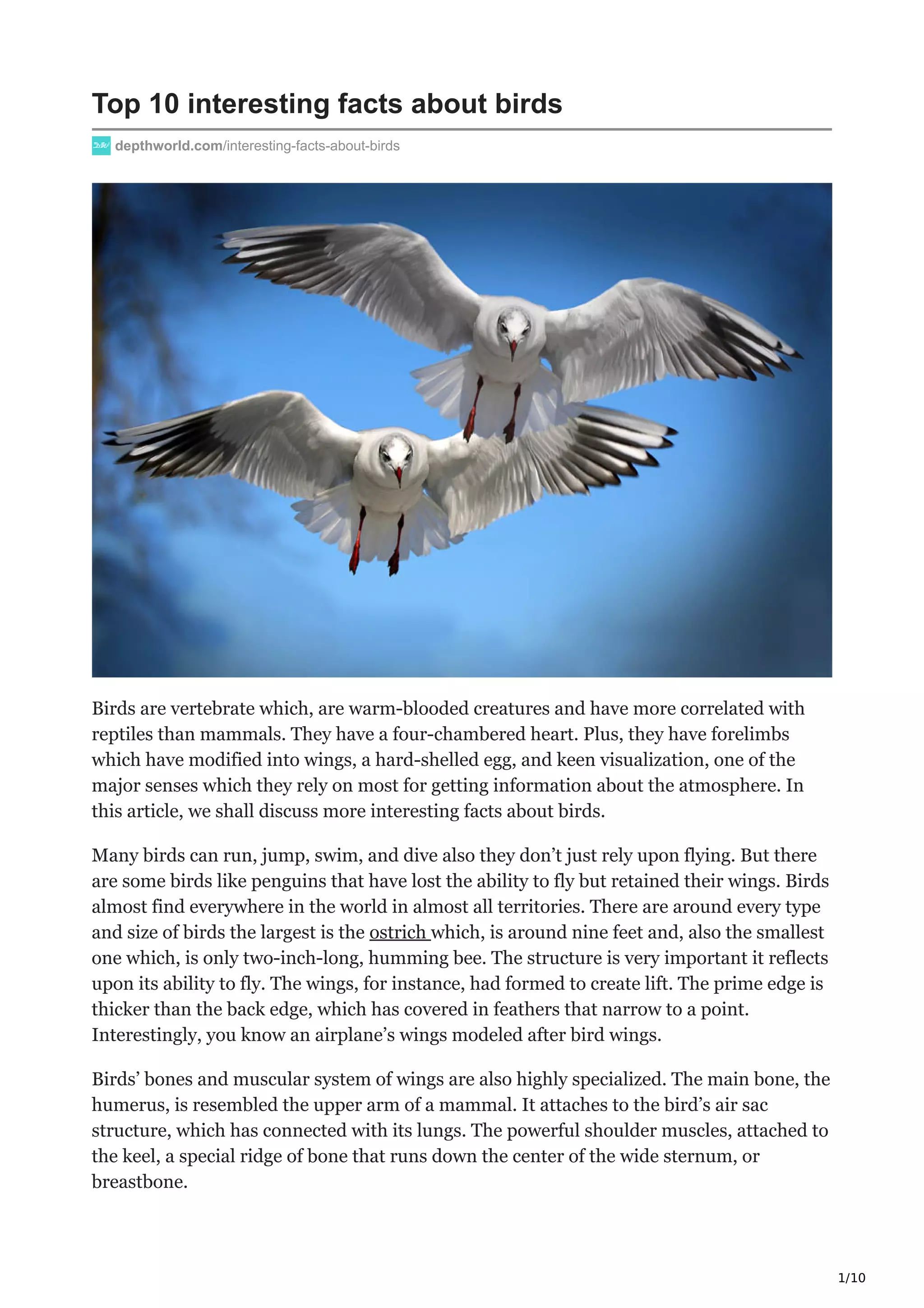 Top 10 interesting facts about birds | PDF - Auto News