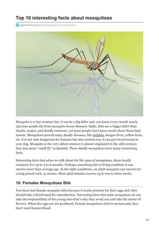 1/3
Top 10 interesting facts about mosquitoes
depthworld.com/interesting-facts-about-mosquitoes
Mosquito is a tiny creature but, it can be a big killer and, you know every month nearly
250,000 people die from mosquito-borne diseases. Sadly, they are a bigger killer than
sharks, snakes, and deadly creatures, yet most people don’t know much about these fatal
insects. Mosquitoes prevail many deadly diseases, like malaria, dengue fever, yellow fever,
etc. it is not only dangerous for humans but also animals too, it can give heartworms to
your dog. Mosquito is the very oldest creature it almost originated in the 16th century;
they just mean “small fly” in Spanish. These deadly mosquitoes have many interesting
facts.
Interesting facts that when we talk about the life span of mosquitoes, these deadly
creatures live up to 5 to 6 months. Perhaps something due to living condition it can
survive more than average age. In the right conditions, an adult mosquito can survive for
a long period such, as worms. Most adult females survive up to two to three weeks.
10: Females Mosquitoes Bite
You know just female mosquito bites because it needs proteins for their eggs and, they
should take a blood meal for reproduction. Interesting facts that male mosquitoes do not
take the responsibility of the young ones that’s why they avoid you and take the nectar of
flowers. When the eggs are not produced, Female mosquitoes stick to nectars and, they
don’t need human blood.
 