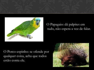 O Papagaio: dá palpites em
tudo, não espera a vez de falar.

O Porco-espinho: se ofende por
qualquer coisa, acha que todos
estão conta ele.

 
