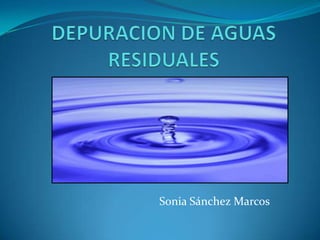 DEPURACION DE AGUAS RESIDUALES Sonia Sánchez Marcos 