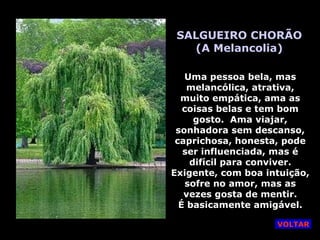 SALGUEIRO CHORÃO (A Melancolia) Uma pessoa bela, mas melancólica, atrativa, muito empática, ama as coisas belas e tem bom gosto.  Ama viajar, sonhadora sem descanso, caprichosa, honesta, pode ser influenciada, mas é difícil para conviver. Exigente, com boa intuição, sofre no amor, mas as vezes gosta de mentir. É basicamente amigável. VOLTAR 