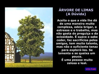 ÁRVORE DE LIMAS (A Dúvida) Aceita o que a vida lhe dá de uma maneira muito complexa, odeia brigar, o estresse e o trabalho, mas não gosta de preguiça e da ociosidade. É suave e sabe ceder, faz sacrifícios pelos amigos, tem muito talento, mas não o suficiente tenaz para explorá-los. Se lamenta e se queixa um  pouco. É uma pessoa muito zelosa e leal. VOLTAR 