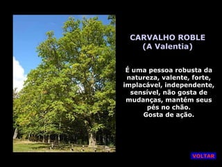 CARVALHO ROBLE (A Valentia) É uma pessoa robusta da natureza, valente, forte, implacável, independente, sensível, não gosta de mudanças, mantém seus pés no chão. Gosta de ação. VOLTAR 