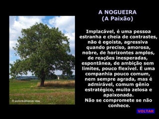 A NOGUEIRA (A Paixão) Implacável, é uma pessoa estranha e cheia de contrastes, não é egoísta, agressiva  quando preciso, amorosa, nobre, de horizontes amplos, de reações inesperadas,  espontânea, de ambição sem  limites, pouco flexível. É uma companhia pouco comum,  nem sempre agrada, mas é admirável, comum gênio estratégico, muito zelosa e apaixonada. Não se compromete se não conhece. VOLTAR 