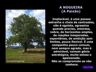 A NOGUEIRA (A Paixão) Implacável, é uma pessoa estranha e cheia de contrastes, não é egoísta, agressiva  quando preciso, amorosa, nobre, de horizontes amplos, de reações inesperadas,  espontânea, de ambição sem  limites, pouco flexível. É uma companhia pouco comum,  nem sempre agrada, mas é admirável, comum gênio estratégico, muito zelosa e apaixonada. Não se compromete se não conhece. VOLTAR 