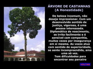 ÁRVORE DE CASTANHAS (A Honestidade) De beleza incomum, não deseja impressionar. Com um desenvolvido sentido de  justiça, vigorosa, é uma  pessoa interessada. Diplomática de nascimento, se irrita facilmente e é sensível com companhia, muitas vezes por insegurança em si mesma. As vezes atua com sentido de superioridade, se sente incompreendida, ama uma só vez. Tem dificuldades para encontrar seu parceiro VOLTAR 