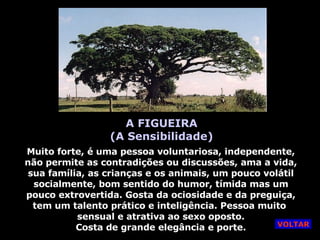A FIGUEIRA (A Sensibilidade) Muito forte, é uma pessoa voluntariosa, independente, não permite as contradições ou discussões, ama a vida, sua família, as crianças e os animais, um pouco volátil socialmente, bom sentido do humor, tímida mas um pouco extrovertida. Gosta da ociosidade e da preguiça, tem um talento prático e inteligência. Pessoa muito  sensual e atrativa ao sexo oposto. Costa de grande elegância e porte. VOLTAR 