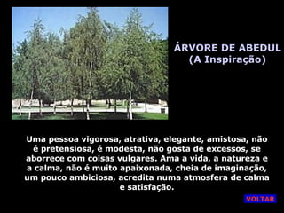 ÁRVORE DE ABEDUL (A Inspiração) Uma pessoa vigorosa, atrativa, elegante, amistosa, não é pretensiosa, é modesta, não gosta de excessos, se aborrece com coisas vulgares. Ama a vida, a natureza e a calma, não é muito apaixonada, cheia de imaginação, um pouco ambiciosa, acredita numa atmosfera de calma e satisfação. VOLTAR 