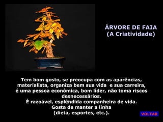 ÁRVORE DE FAIA (A Criatividade) Tem bom gosto, se preocupa com as aparências, materialista, organiza bem sua vida  e sua carreira, é uma pessoa econômica, bom líder, não toma riscos desnecessários. É razoável, esplêndida companheira de vida. Gosta de manter a linha (dieta, esportes, etc.). VOLTAR 