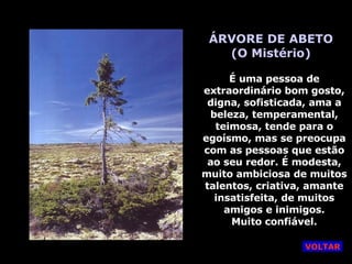 ÁRVORE DE ABETO (O Mistério) É uma pessoa de extraordinário bom gosto, digna, sofisticada, ama a beleza, temperamental, teimosa, tende para o egoísmo, mas se preocupa com as pessoas que estão ao seu redor. É modesta, muito ambiciosa de muitos talentos, criativa, amante insatisfeita, de muitos amigos e inimigos. Muito confiável. VOLTAR 