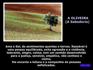 A OLIVEIRA
(A Sabedoria)
Ama o Sol, de sentimentos quentes e ternos. Razoável é
uma pessoa equilibrada, evita agressão e a violência,
tolerante, alegre, calma, tem um sentido desenvolvido
para a justiça, sensível, empática, não conhece o
ciúme,
lhe encanta a leitura e a companhia de pessoas
sofisticadas. VOLTAR
 