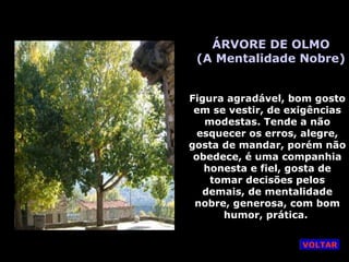 ÁRVORE DE OLMO
(A Mentalidade Nobre)
Figura agradável, bom gosto
em se vestir, de exigências
modestas. Tende a não
esquecer os erros, alegre,
gosta de mandar, porém não
obedece, é uma companhia
honesta e fiel, gosta de
tomar decisões pelos
demais, de mentalidade
nobre, generosa, com bom
humor, prática.
VOLTAR
 
