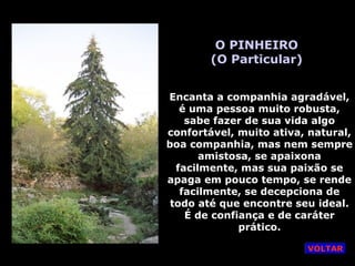 O PINHEIRO
(O Particular)
Encanta a companhia agradável,
é uma pessoa muito robusta,
sabe fazer de sua vida algo
confortável, muito ativa, natural,
boa companhia, mas nem sempre
amistosa, se apaixona
facilmente, mas sua paixão se
apaga em pouco tempo, se rende
facilmente, se decepciona de
todo até que encontre seu ideal.
É de confiança e de caráter
prático.
VOLTAR
 
