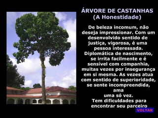 ÁRVORE DE CASTANHAS
(A Honestidade)
De beleza incomum, não
deseja impressionar. Com um
desenvolvido sentido de
justiça, vigorosa, é uma
pessoa interessada.
Diplomática de nascimento,
se irrita facilmente e é
sensível com companhia,
muitas vezes por insegurança
em si mesma. As vezes atua
com sentido de superioridade,
se sente incompreendida,
ama
uma só vez.
Tem dificuldades para
encontrar seu parceiro
VOLTAR
 