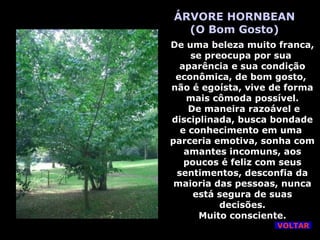 ÁRVORE HORNBEAN
(O Bom Gosto)
De uma beleza muito franca,
se preocupa por sua
aparência e sua condição
econômica, de bom gosto,
não é egoísta, vive de forma
mais cômoda possível.
De maneira razoável e
disciplinada, busca bondade
e conhecimento em uma
parceria emotiva, sonha com
amantes incomuns, aos
poucos é feliz com seus
sentimentos, desconfia da
maioria das pessoas, nunca
está segura de suas
decisões.
Muito consciente.
VOLTAR
 