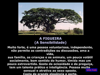 A FIGUEIRA
(A Sensibilidade)
Muito forte, é uma pessoa voluntariosa, independente,
não permite as contradições ou discussões, ama a
vida,
sua família, as crianças e os animais, um pouco volátil
socialmente, bom sentido do humor, tímida mas um
pouco extrovertida. Gosta da ociosidade e da preguiça,
tem um talento prático e inteligência. Pessoa muito
sensual e atrativa ao sexo oposto.
Costa de grande elegância e porte.
VOLTAR
 
