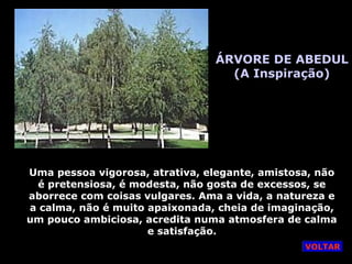 ÁRVORE DE ABEDUL
(A Inspiração)
Uma pessoa vigorosa, atrativa, elegante, amistosa, não
é pretensiosa, é modesta, não gosta de excessos, se
aborrece com coisas vulgares. Ama a vida, a natureza e
a calma, não é muito apaixonada, cheia de imaginação,
um pouco ambiciosa, acredita numa atmosfera de calma
e satisfação.
VOLTAR
 