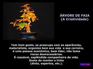 ÁRVORE DE FAIA
(A Criatividade)
Tem bom gosto, se preocupa com as aparências,
materialista, organiza bem sua vida e sua carreira,
é uma pessoa econômica, bom líder, não toma
riscos desnecessários.
É razoável, esplêndida companheira de vida.
Gosta de manter a linha
(dieta, esportes, etc.). VOLTAR
 